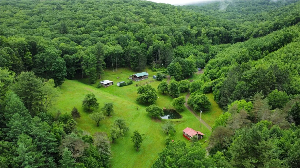 286 Hidden Hollow Farm Drive, Wharton, Pennsylvani, Wharton, Pennsylvania 16720, 3 Bedrooms Bedrooms, 12 Rooms Rooms,1 BathroomBathrooms,Residential,For Sale,286 Hidden Hollow Farm Drive, Wharton, Pennsylvani,R1617003