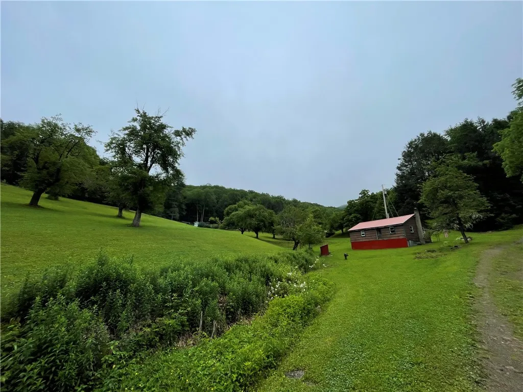 286 Hidden Hollow Farm Drive, Wharton, Pennsylvani, Wharton, Pennsylvania 16720, 3 Bedrooms Bedrooms, 12 Rooms Rooms,1 BathroomBathrooms,Residential,For Sale,286 Hidden Hollow Farm Drive, Wharton, Pennsylvani,R1617003