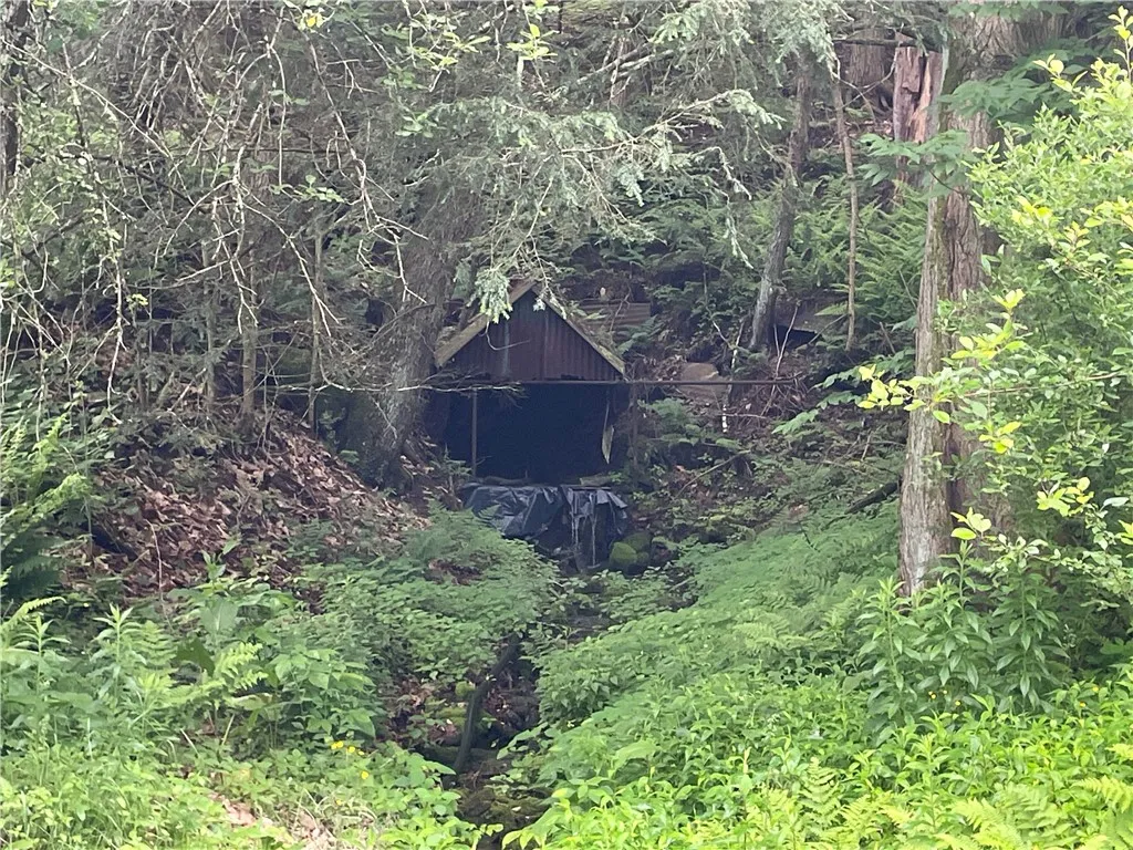 286 Hidden Hollow Farm Drive, Wharton, Pennsylvani, Wharton, Pennsylvania 16720, 3 Bedrooms Bedrooms, 12 Rooms Rooms,1 BathroomBathrooms,Residential,For Sale,286 Hidden Hollow Farm Drive, Wharton, Pennsylvani,R1617003