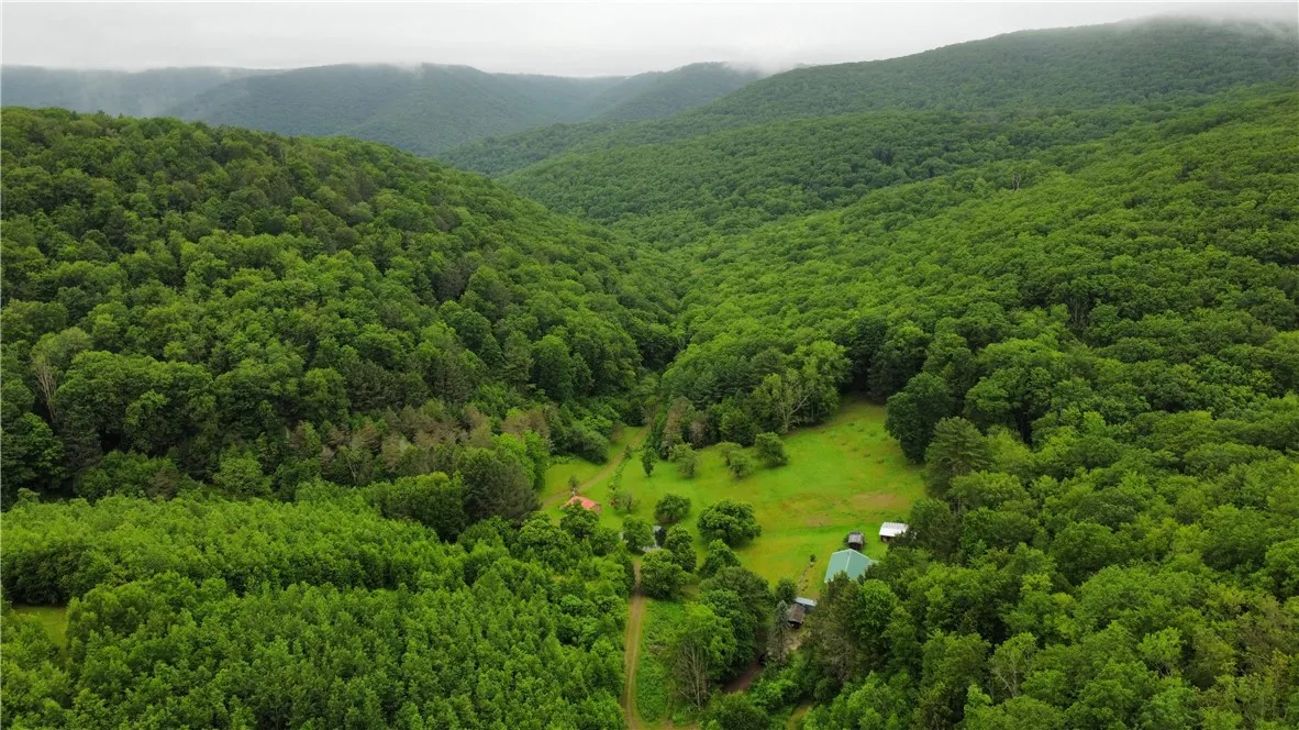 286 Hidden Hollow Farm Drive, Wharton, Pennsylvani, Wharton, Pennsylvania 16720, 3 Bedrooms Bedrooms, 12 Rooms Rooms,1 BathroomBathrooms,Residential,For Sale,286 Hidden Hollow Farm Drive, Wharton, Pennsylvani,R1617003