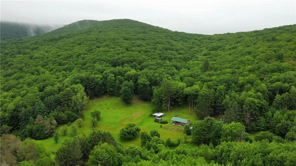 286 Hidden Hollow Farm Drive, Wharton, Pennsylvani, Wharton, Pennsylvania 16720, 3 Bedrooms Bedrooms, 12 Rooms Rooms,1 BathroomBathrooms,Residential,For Sale,286 Hidden Hollow Farm Drive, Wharton, Pennsylvani,R1617003