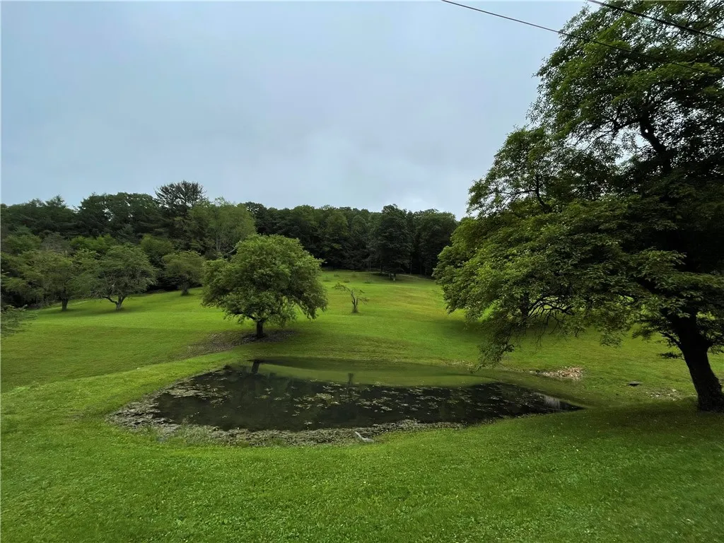 286 Hidden Hollow Farm Drive, Wharton, Pennsylvani, Wharton, Pennsylvania 16720, 3 Bedrooms Bedrooms, 12 Rooms Rooms,1 BathroomBathrooms,Residential,For Sale,286 Hidden Hollow Farm Drive, Wharton, Pennsylvani,R1617003
