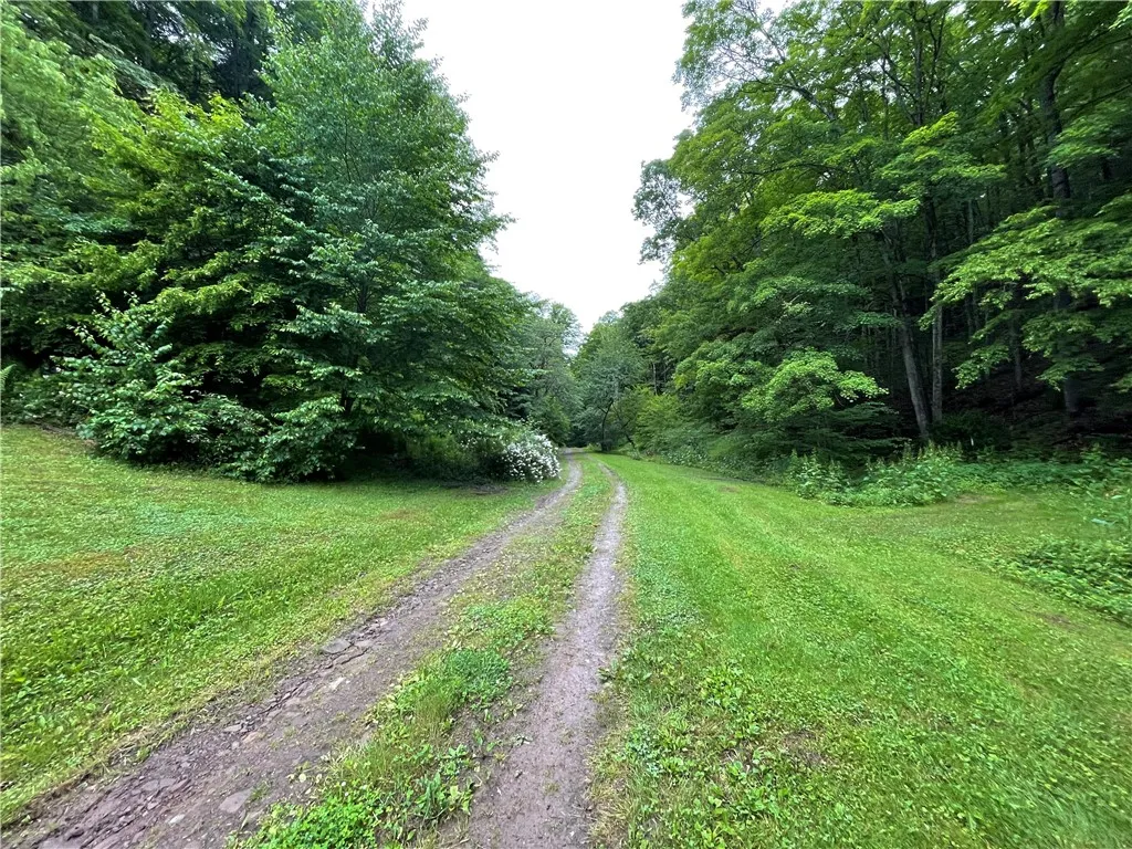 286 Hidden Hollow Farm Drive, Wharton, Pennsylvani, Wharton, Pennsylvania 16720, 3 Bedrooms Bedrooms, 12 Rooms Rooms,1 BathroomBathrooms,Residential,Closed,286 Hidden Hollow Farm Drive, Wharton, Pennsylvani,0,R1617003