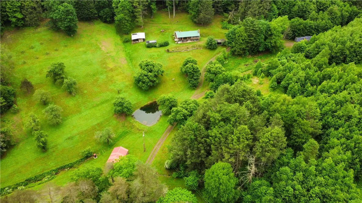 286 Hidden Hollow Farm Drive, Wharton, Pennsylvani, Wharton, Pennsylvania 16720, 3 Bedrooms Bedrooms, 12 Rooms Rooms,1 BathroomBathrooms,Residential,For Sale,286 Hidden Hollow Farm Drive, Wharton, Pennsylvani,R1617003