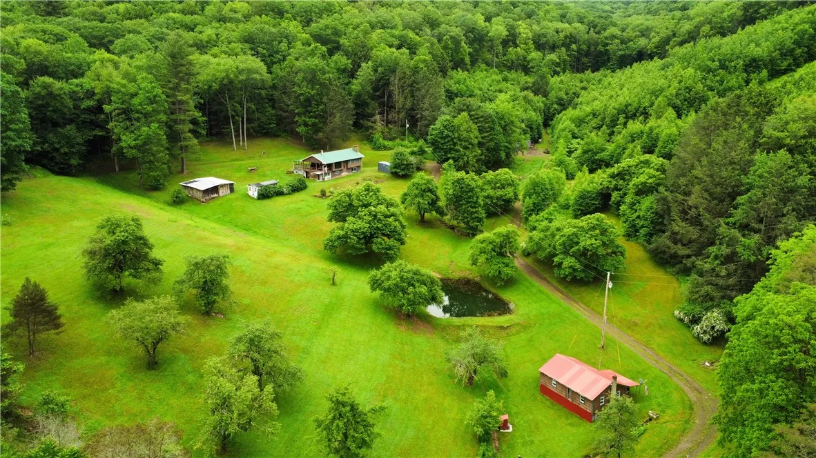 286 Hidden Hollow Farm Drive, Wharton, Pennsylvani, Wharton, Pennsylvania 16720, 3 Bedrooms Bedrooms, 12 Rooms Rooms,1 BathroomBathrooms,Residential,For Sale,286 Hidden Hollow Farm Drive, Wharton, Pennsylvani,R1617003