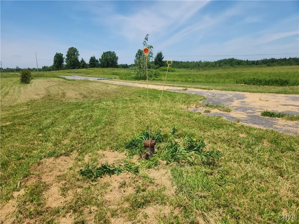 1110 State Route 177, Pinckney, New York 13626, Pinckney, New York 13626, 6 Rooms Rooms,1 BathroomBathrooms,Land,For Sale,1110 State Route 177, Pinckney, New York 13626,S1617014