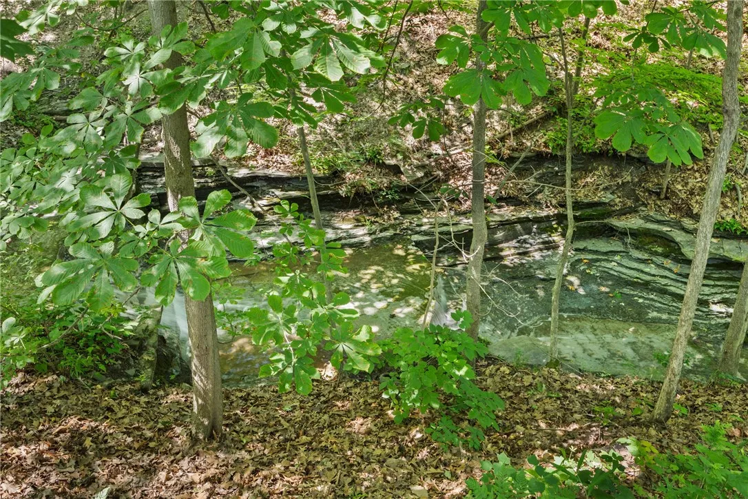 4 Red Cedar Falls Lane, Starkey, New York 14837, Starkey, New York 14837, ,Land,For Sale,4 Red Cedar Falls Lane, Starkey, New York 14837,R1616857