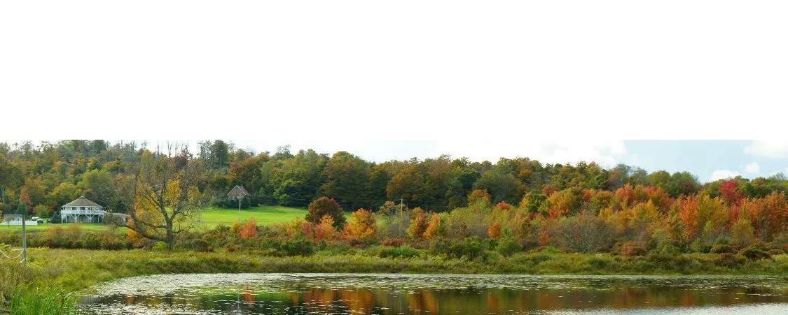 Crystal Brook Meadows Pond