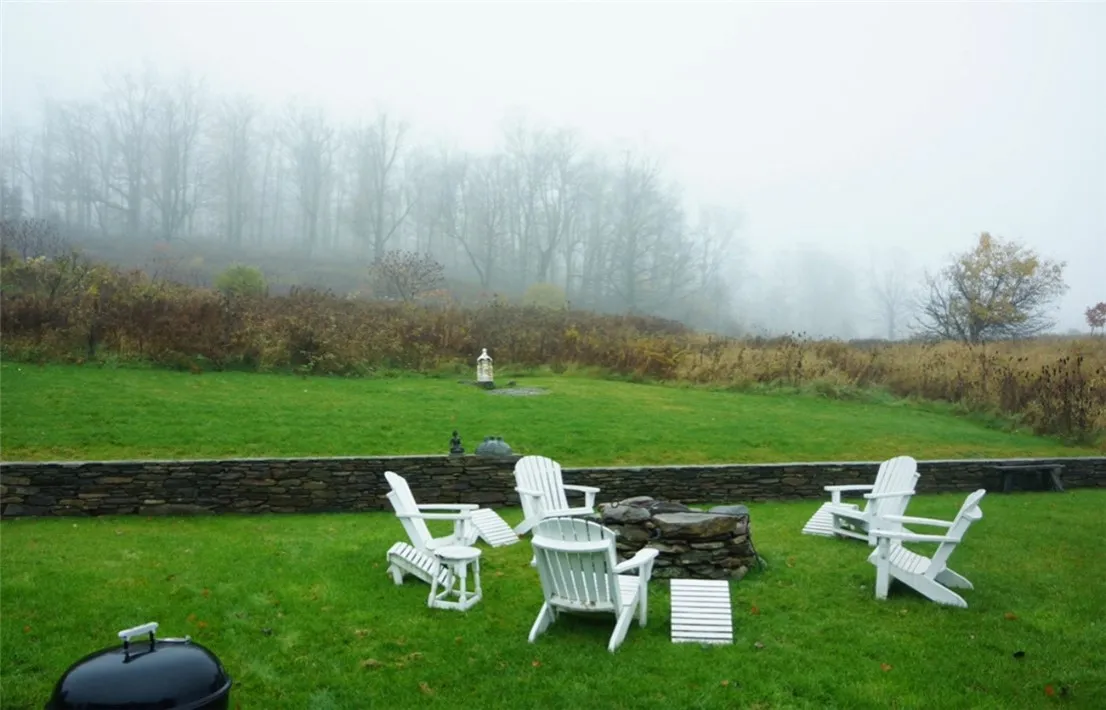 Back yard