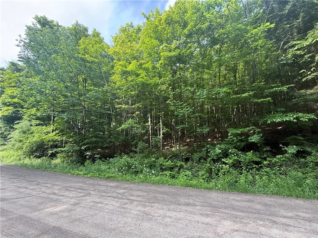 7420 Feather Street, Springwater, New York 14512, Springwater, New York 14512, ,Land,For Sale,7420 Feather Street, Springwater, New York 14512,R1617029
