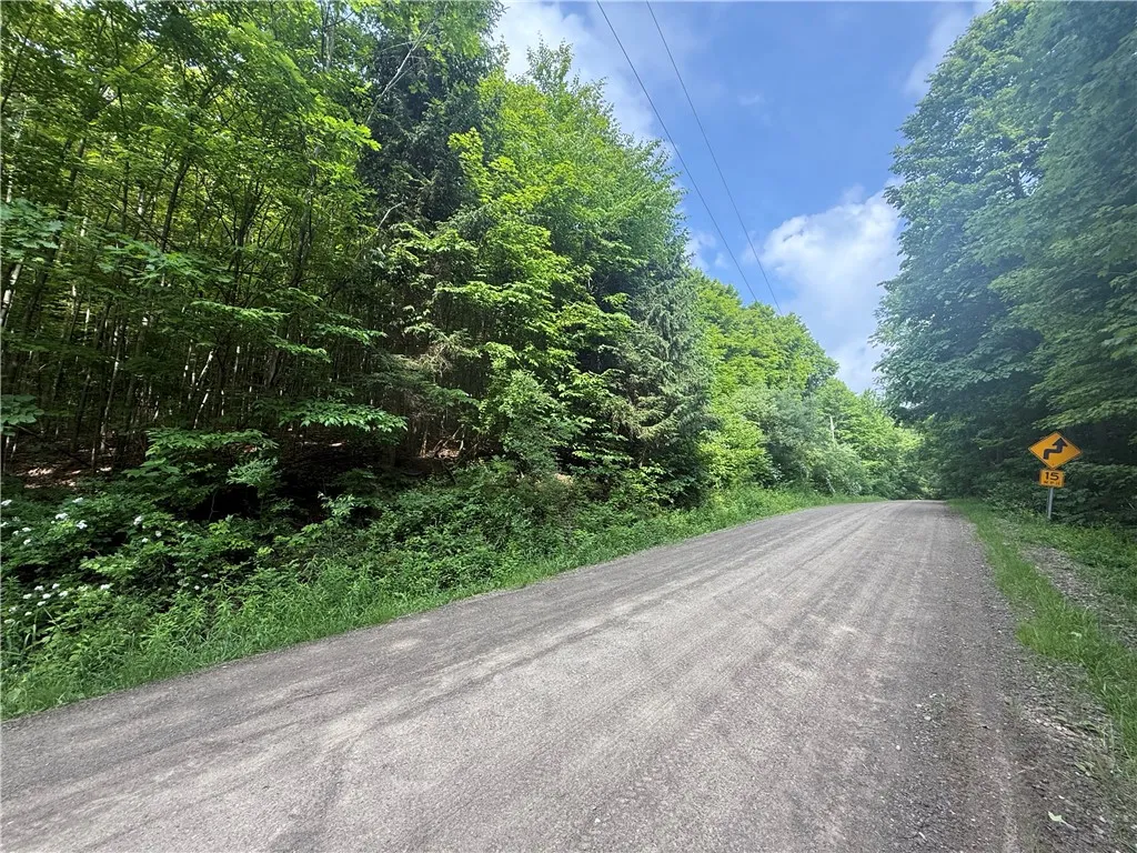 7420 Feather Street, Springwater, New York 14512, Springwater, New York 14512, ,Land,For Sale,7420 Feather Street, Springwater, New York 14512,R1617029