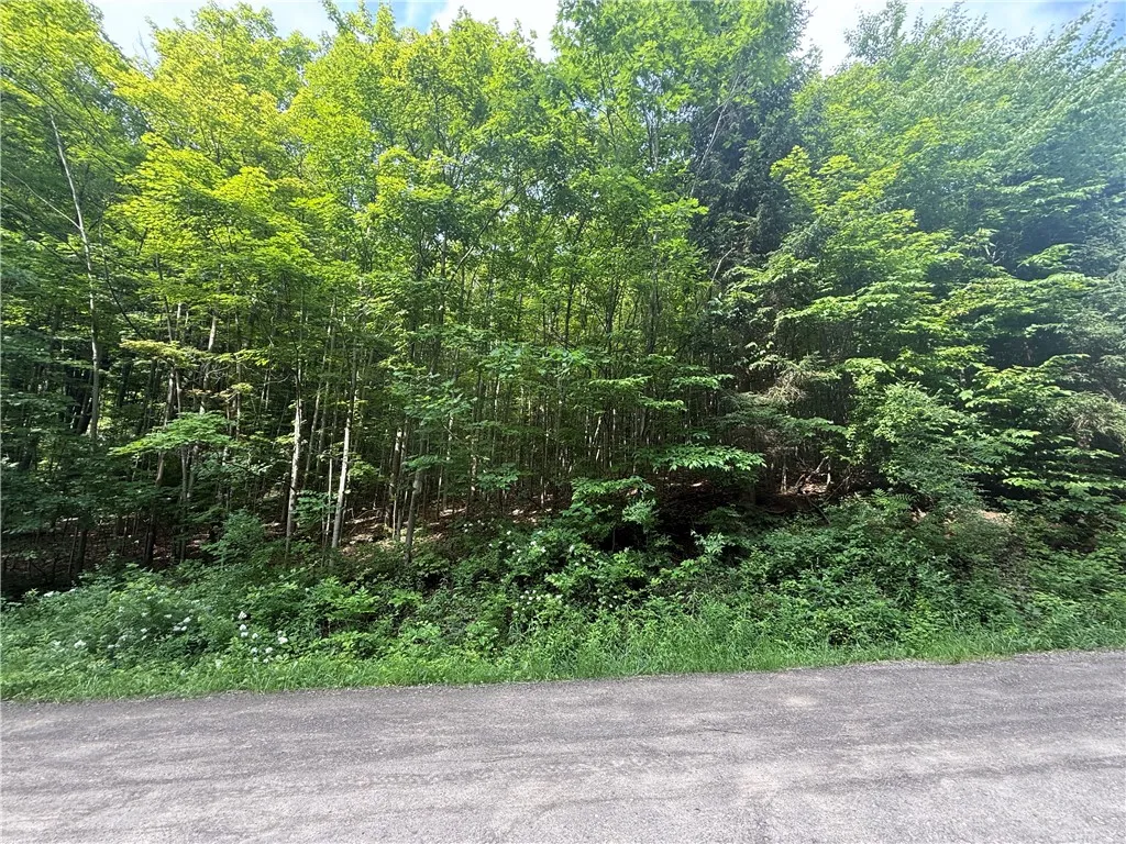 7420 Feather Street, Springwater, New York 14512, Springwater, New York 14512, ,Land,For Sale,7420 Feather Street, Springwater, New York 14512,R1617029