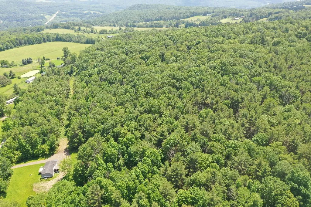 Kilkenny Road, Unadilla, New York 13849, Unadilla, New York 13849, ,Land,For Sale,Kilkenny Road, Unadilla, New York 13849,R1617035