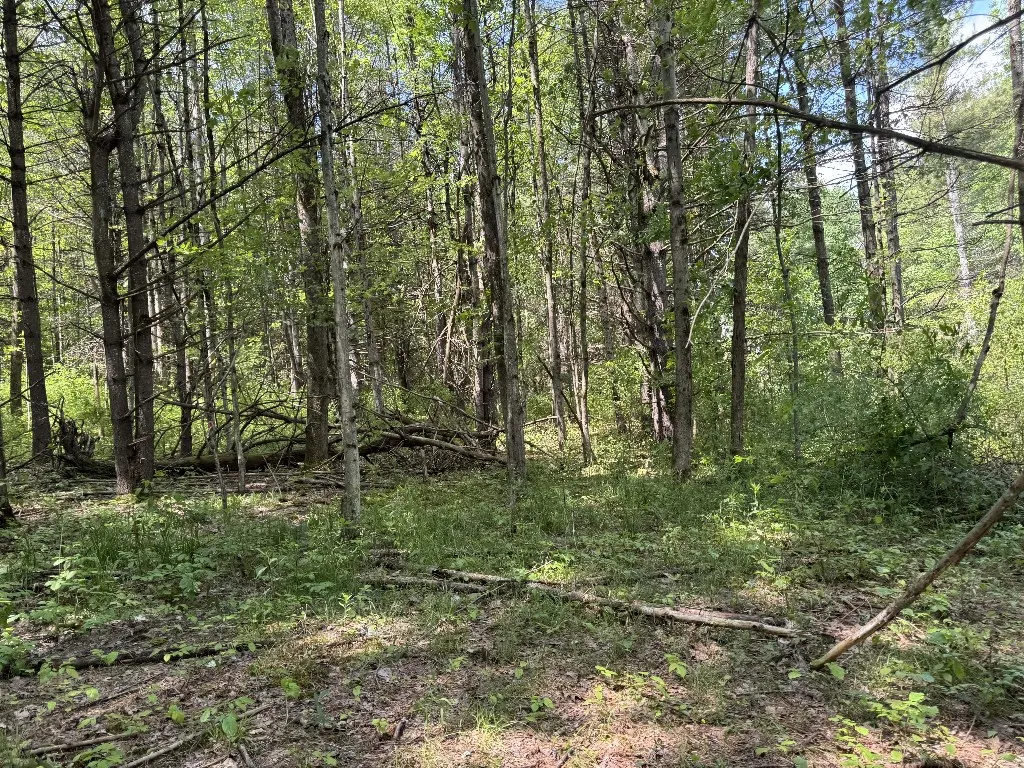 Kilkenny Road, Unadilla, New York 13849, Unadilla, New York 13849, ,Land,For Sale,Kilkenny Road, Unadilla, New York 13849,R1617035