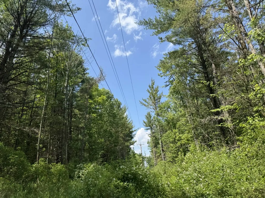 Kilkenny Road, Unadilla, New York 13849, Unadilla, New York 13849, ,Land,For Sale,Kilkenny Road, Unadilla, New York 13849,R1617035