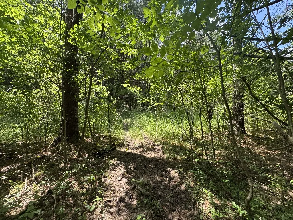 Kilkenny Road, Unadilla, New York 13849, Unadilla, New York 13849, ,Land,For Sale,Kilkenny Road, Unadilla, New York 13849,R1617035