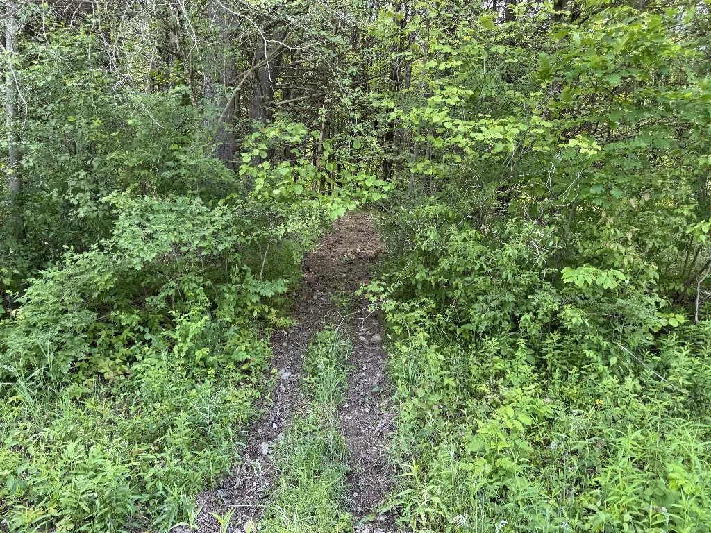 Kilkenny Road, Unadilla, New York 13849, Unadilla, New York 13849, ,Land,For Sale,Kilkenny Road, Unadilla, New York 13849,R1617035