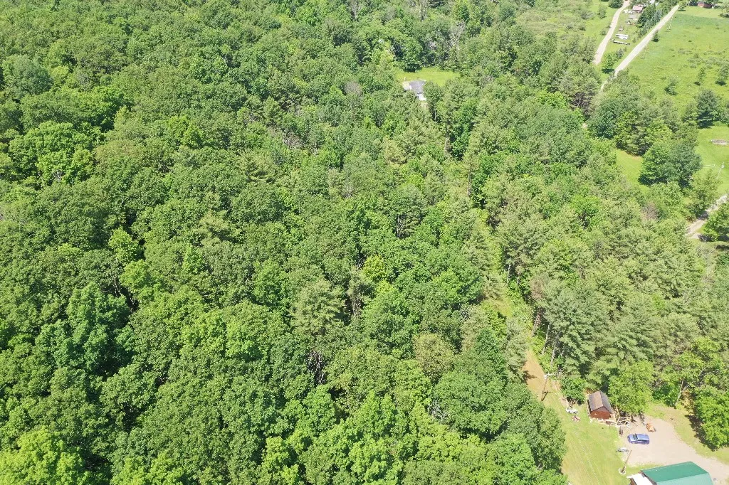 Kilkenny Road, Unadilla, New York 13849, Unadilla, New York 13849, ,Land,For Sale,Kilkenny Road, Unadilla, New York 13849,R1617035