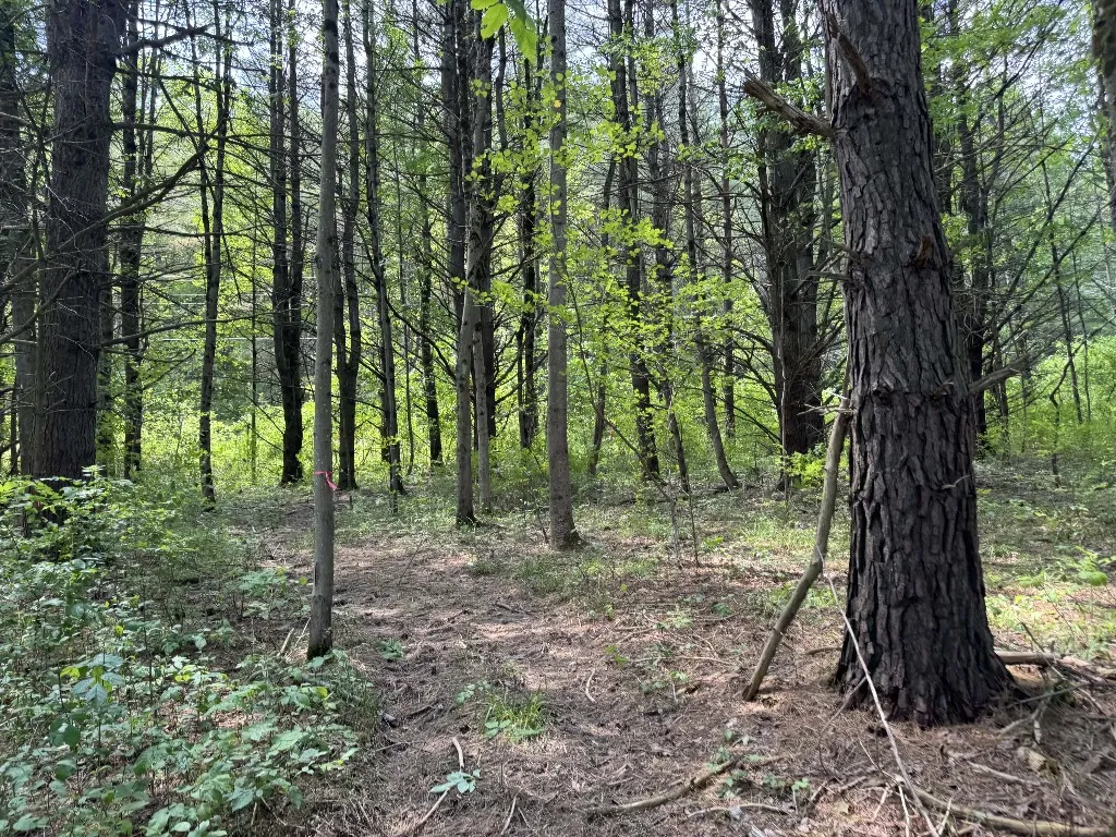 Kilkenny Road, Unadilla, New York 13849, Unadilla, New York 13849, ,Land,For Sale,Kilkenny Road, Unadilla, New York 13849,R1617035