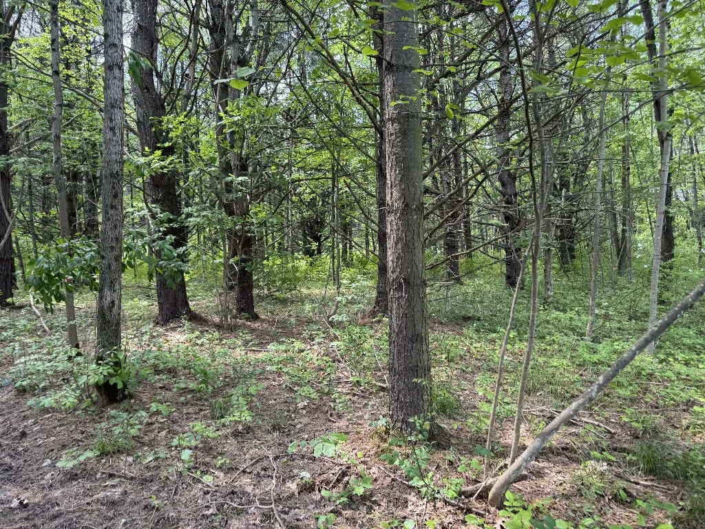 Kilkenny Road, Unadilla, New York 13849, Unadilla, New York 13849, ,Land,For Sale,Kilkenny Road, Unadilla, New York 13849,R1617035