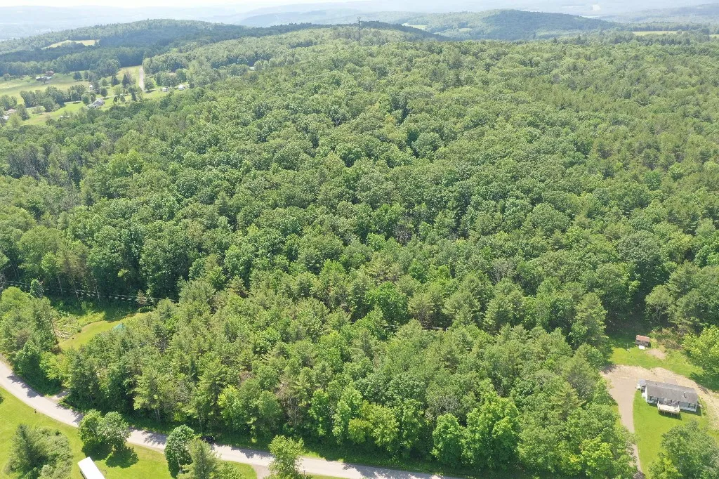 Kilkenny Road, Unadilla, New York 13849, Unadilla, New York 13849, ,Land,For Sale,Kilkenny Road, Unadilla, New York 13849,R1617035
