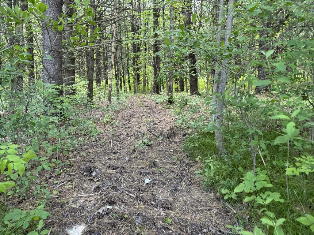 Kilkenny Road, Unadilla, New York 13849, Unadilla, New York 13849, ,Land,For Sale,Kilkenny Road, Unadilla, New York 13849,R1617035