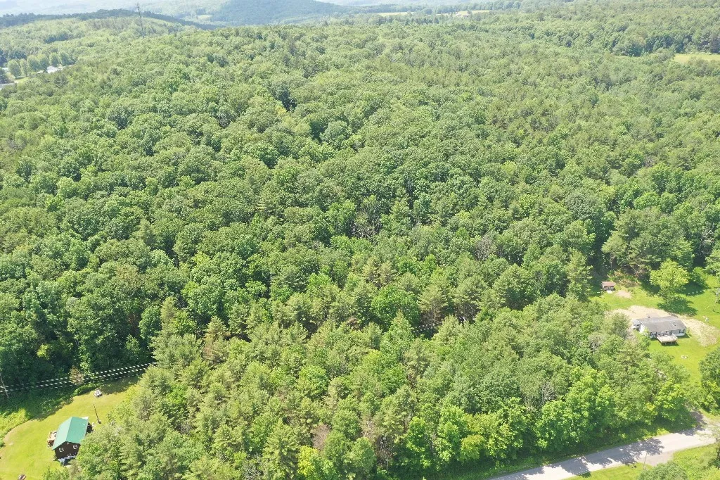 Kilkenny Road, Unadilla, New York 13849, Unadilla, New York 13849, ,Land,For Sale,Kilkenny Road, Unadilla, New York 13849,R1617035