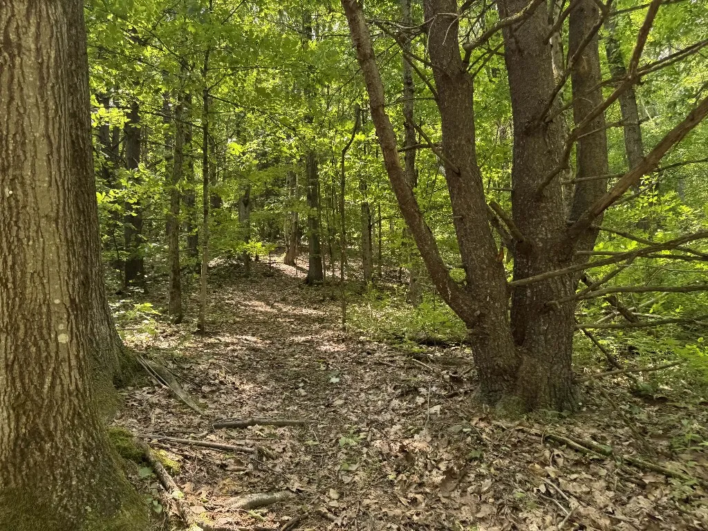 Kilkenny Road, Unadilla, New York 13849, Unadilla, New York 13849, ,Land,For Sale,Kilkenny Road, Unadilla, New York 13849,R1617035