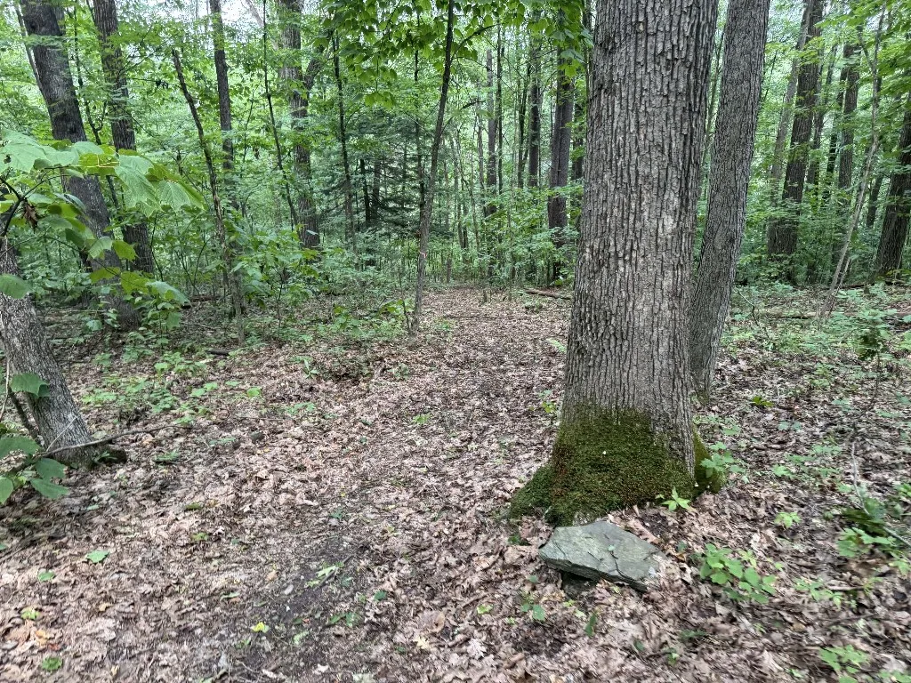Kilkenny Road, Unadilla, New York 13849, Unadilla, New York 13849, ,Land,For Sale,Kilkenny Road, Unadilla, New York 13849,R1617035