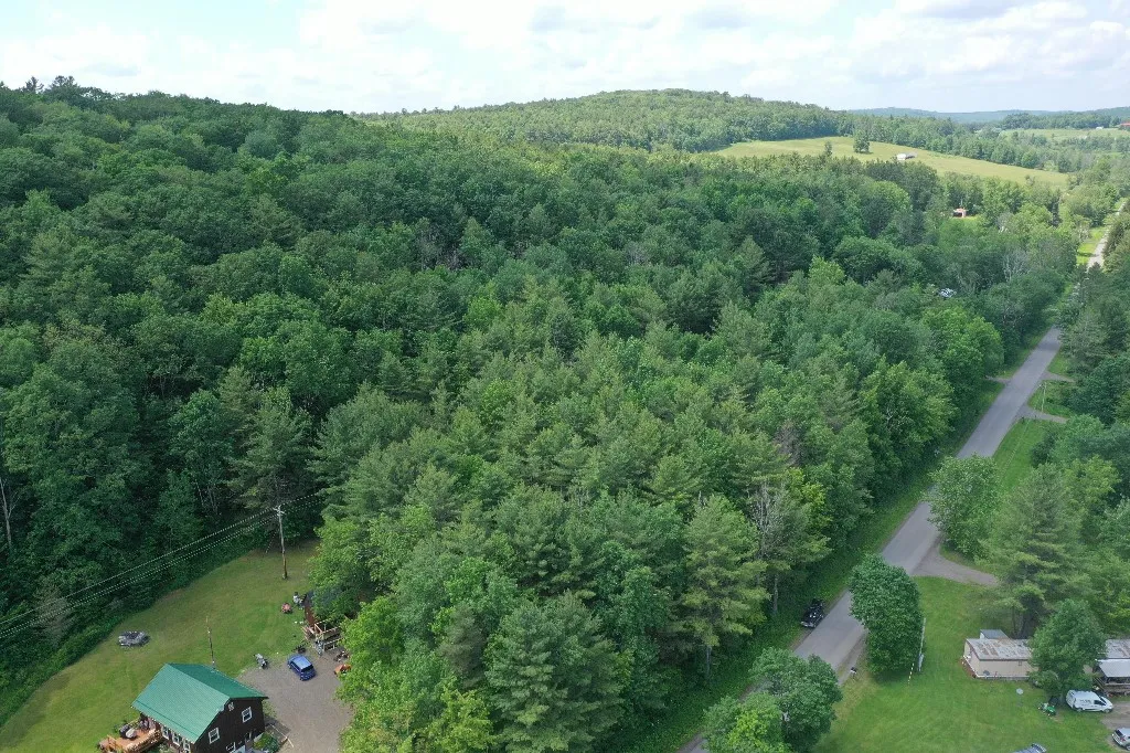 Kilkenny Road, Unadilla, New York 13849, Unadilla, New York 13849, ,Land,For Sale,Kilkenny Road, Unadilla, New York 13849,R1617035