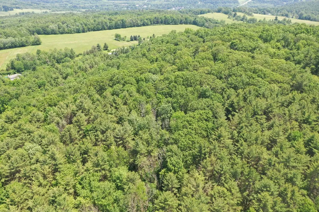 Kilkenny Road, Unadilla, New York 13849, Unadilla, New York 13849, ,Land,For Sale,Kilkenny Road, Unadilla, New York 13849,R1617035