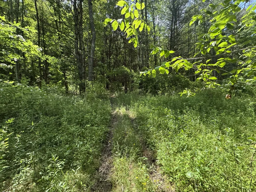 Kilkenny Road, Unadilla, New York 13849, Unadilla, New York 13849, ,Land,For Sale,Kilkenny Road, Unadilla, New York 13849,R1617035