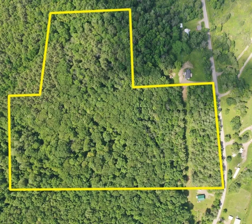 Kilkenny Road, Unadilla, New York 13849, Unadilla, New York 13849, ,Land,For Sale,Kilkenny Road, Unadilla, New York 13849,R1617035