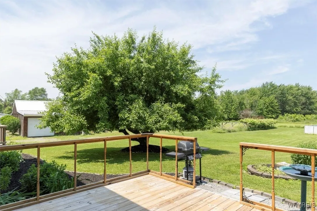Back Deck