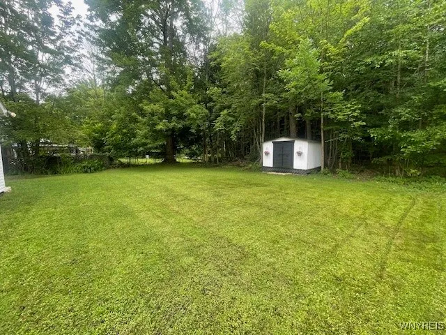 Backyard with no rear neighbors