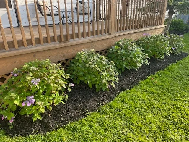 New landscaping