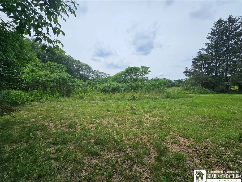 131 South Main Street, Belfast, New York 14711, Belfast, New York 14711, 4 Bedrooms Bedrooms, 6 Rooms Rooms,1 BathroomBathrooms,Residential,For Sale,131 South Main Street, Belfast, New York 14711,R1617130
