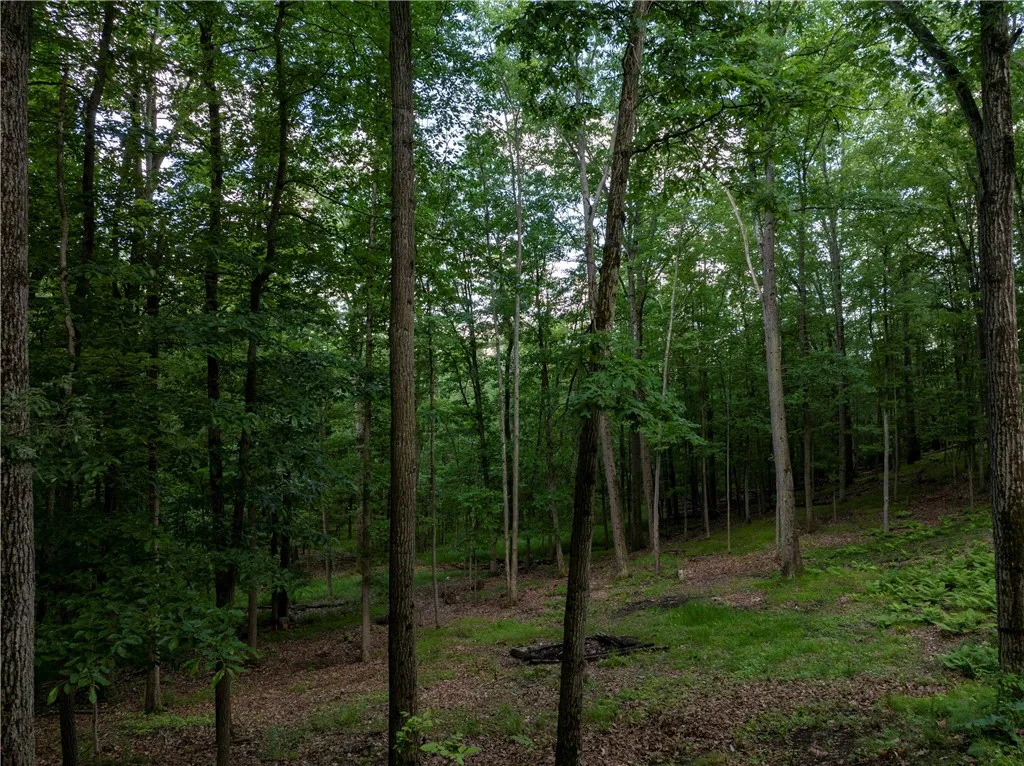 11 Overbrook Road, Erwin, New York 14870, Erwin, New York 14870, 4 Bedrooms Bedrooms, 10 Rooms Rooms,3 BathroomsBathrooms,Residential,For Sale,11 Overbrook Road, Erwin, New York 14870,R1613420