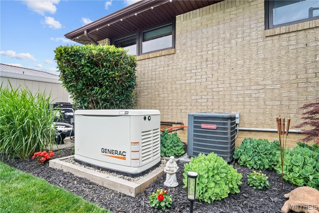 Whole Home Gas Generator