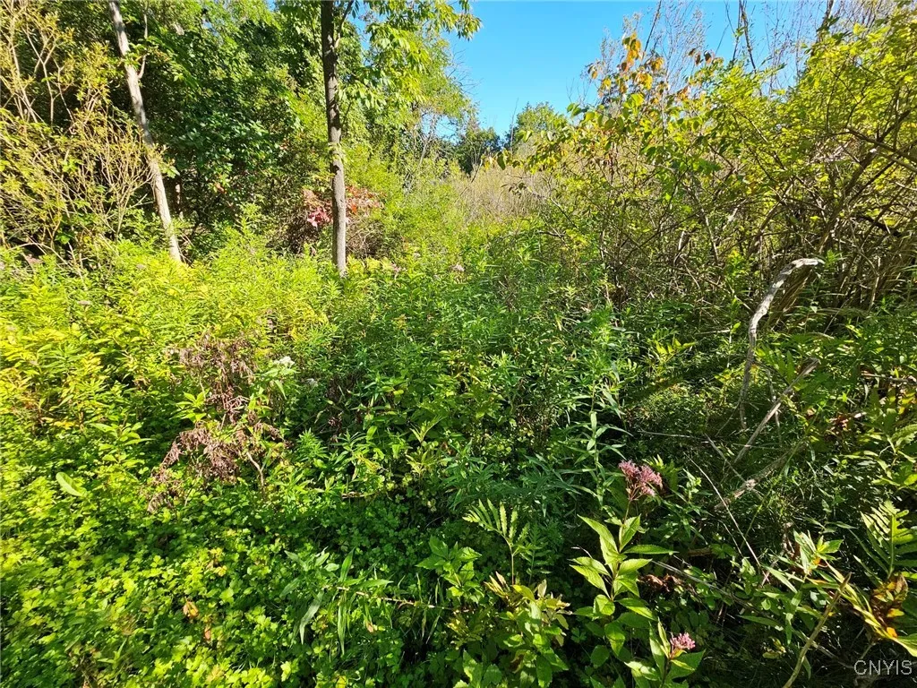 Sims Lane Lot #1