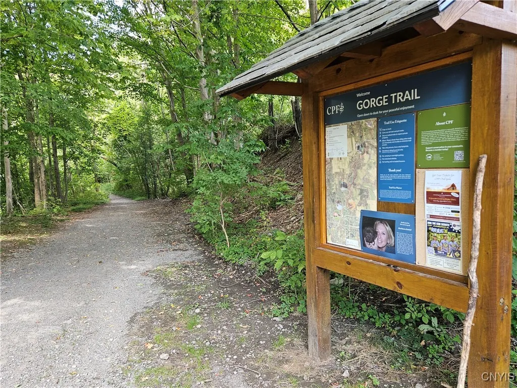Gorge Trail to the stream