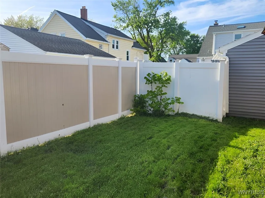backyard & fence