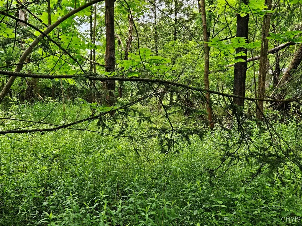 56 Myrtle Street, Cazenovia, New York 13035, Cazenovia, New York 13035, ,Land,For Sale,56 Myrtle Street, Cazenovia, New York 13035,0,S1617006