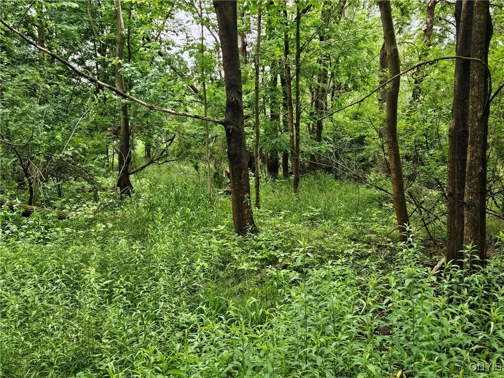 56 Myrtle Street, Cazenovia, New York 13035, Cazenovia, New York 13035, ,Land,For Sale,56 Myrtle Street, Cazenovia, New York 13035,0,S1617006