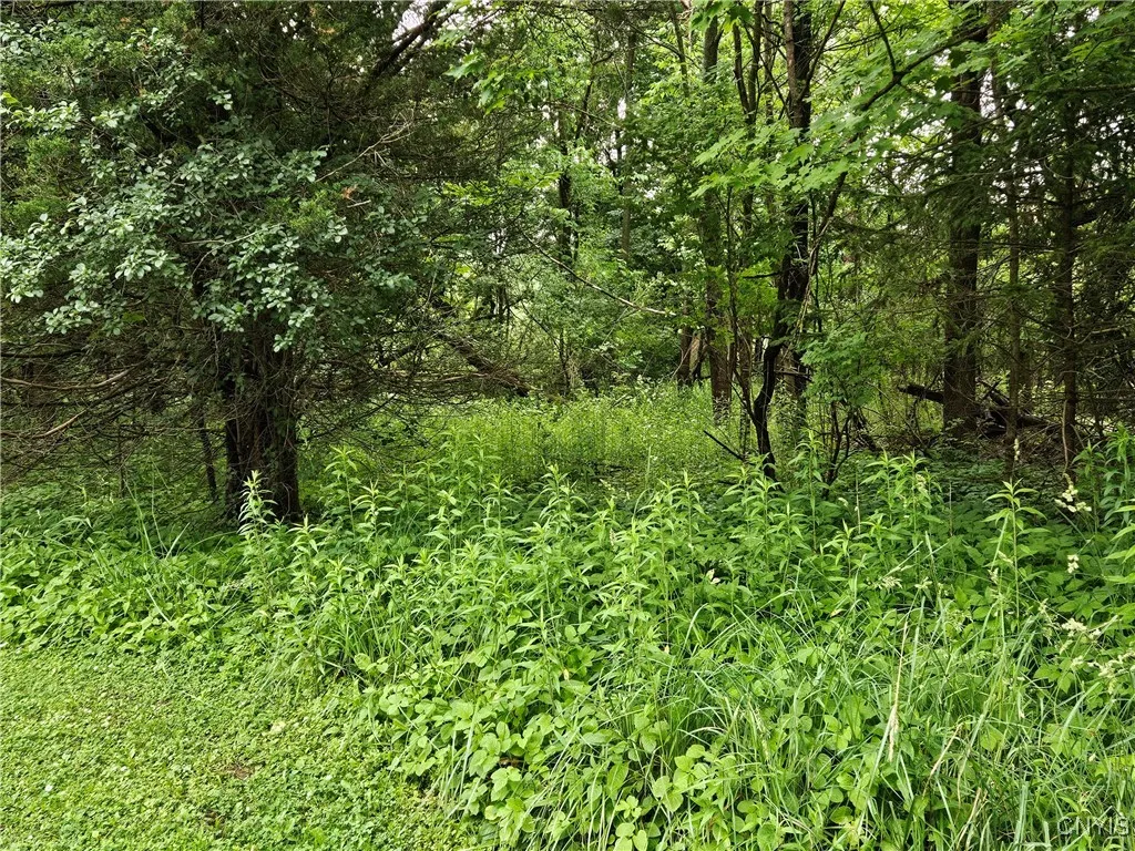 56 Myrtle Street, Cazenovia, New York 13035, Cazenovia, New York 13035, ,Land,For Sale,56 Myrtle Street, Cazenovia, New York 13035,0,S1617006