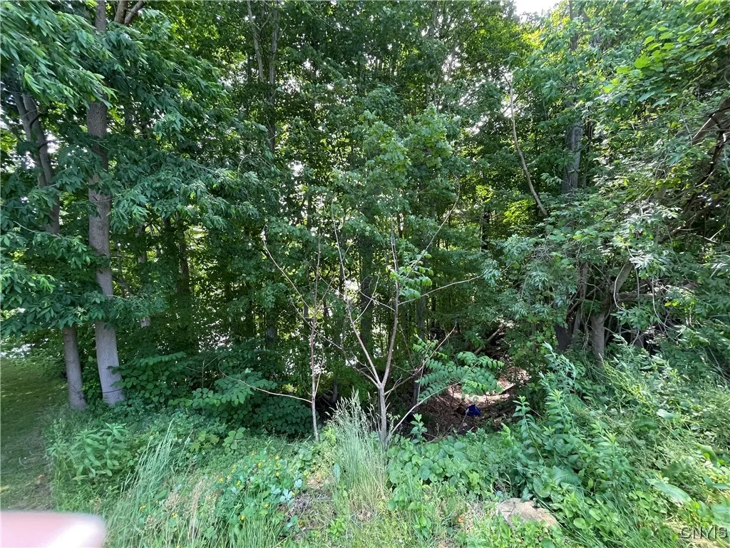 3060 State Route 48, Minetto, New York 13126, Minetto, New York 13126, ,Land,Closed,3060 State Route 48, Minetto, New York 13126,0,S1617429