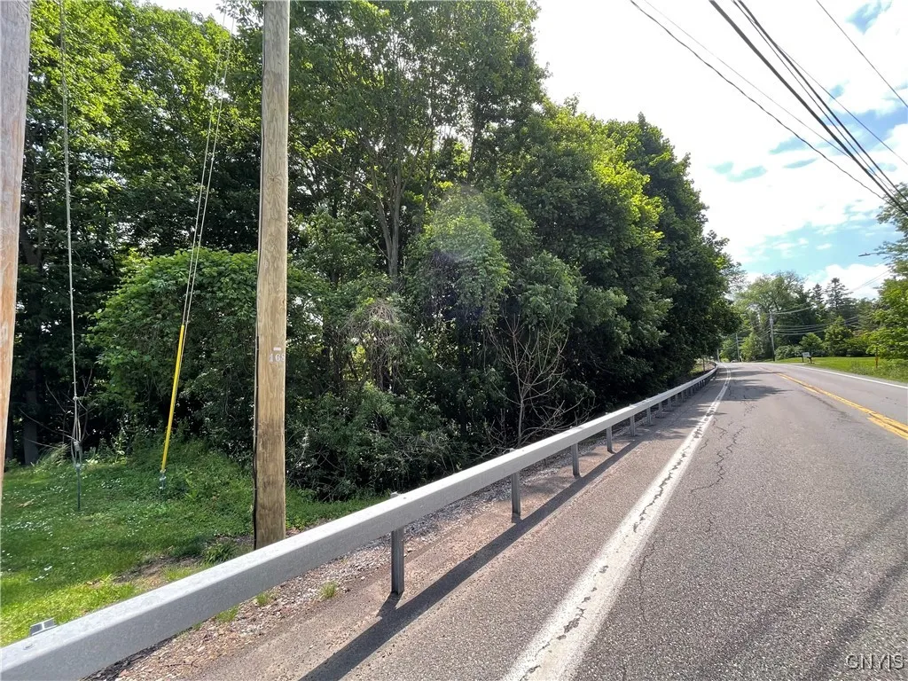 3060 State Route 48, Minetto, New York 13126, Minetto, New York 13126, ,Land,Closed,3060 State Route 48, Minetto, New York 13126,0,S1617429