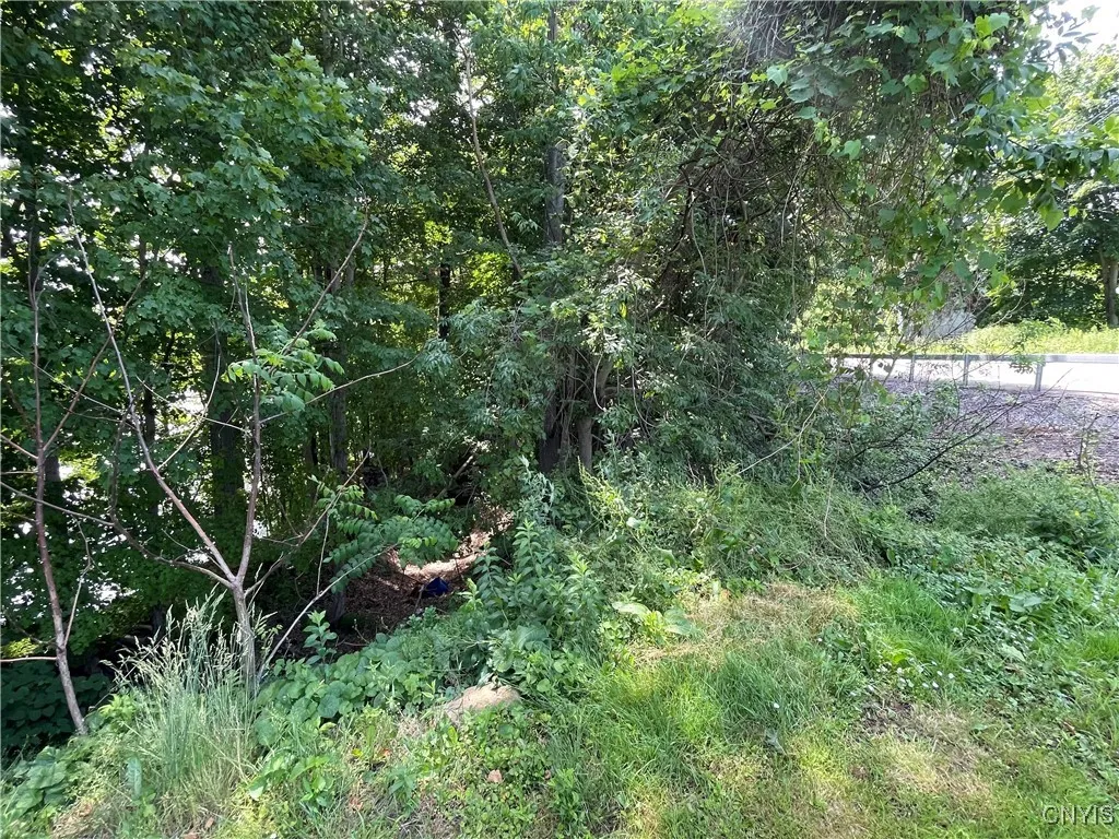 3060 State Route 48, Minetto, New York 13126, Minetto, New York 13126, ,Land,Closed,3060 State Route 48, Minetto, New York 13126,0,S1617429