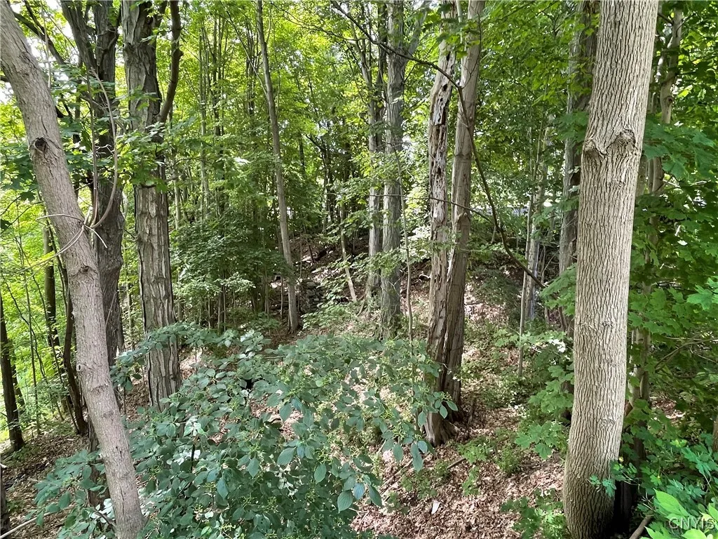 3060 State Route 48, Minetto, New York 13126, Minetto, New York 13126, ,Land,Closed,3060 State Route 48, Minetto, New York 13126,0,S1617429