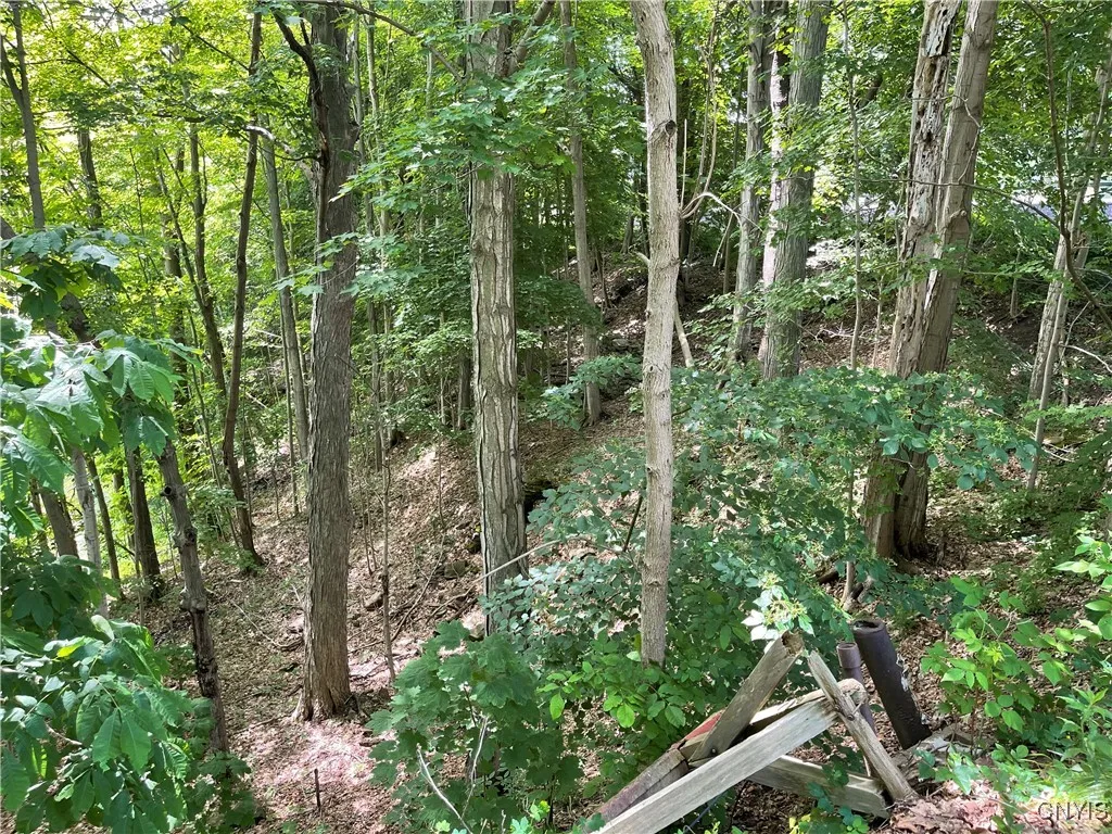 3060 State Route 48, Minetto, New York 13126, Minetto, New York 13126, ,Land,Closed,3060 State Route 48, Minetto, New York 13126,0,S1617429